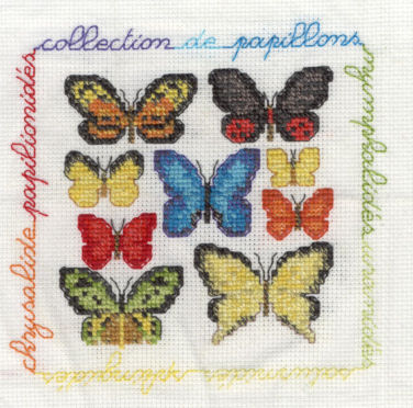 Collection de papillons